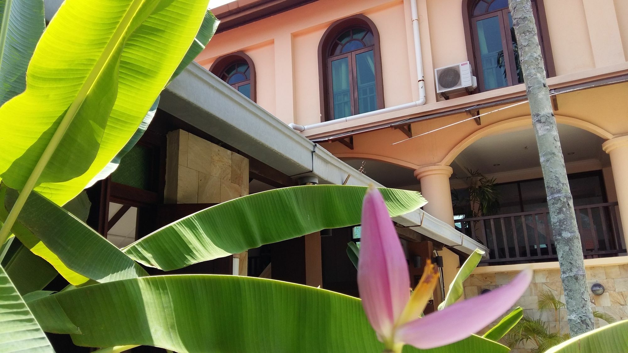 Oyo 1149 Feringghi Hotel Batu Feringgi Dış mekan fotoğraf